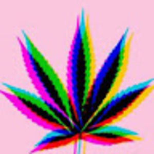 Meet your Posher, Esteban